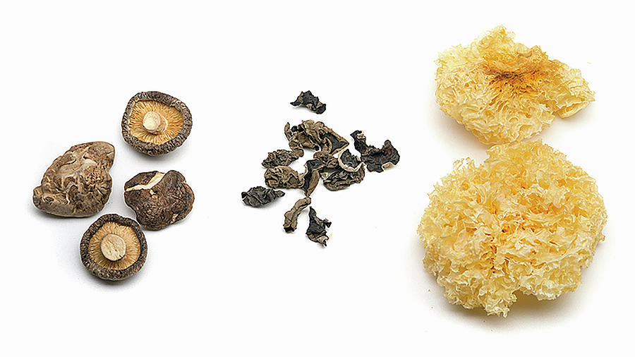 Dried Mushrooms  Shiitake, Mu-err And Yin-err Photograph by Tre Torri