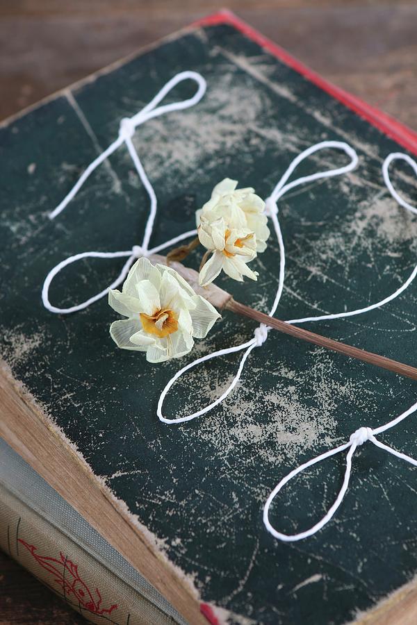 Dried Narcissus And Knotted String On Old Book Photograph by Regina Hippel