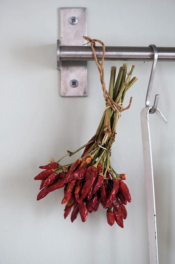 Dried Red Chilli Peppers Hanging From A Stainless Steel Bar Photograph by Winfried Heinze