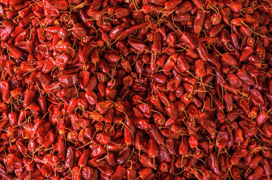 Dried Red Peppers Photograph by Ann Moore