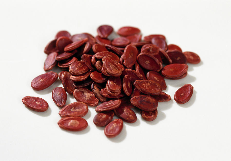 Dried Red Unpeeled Melon Seeds Photograph by Teubner Foodfoto
