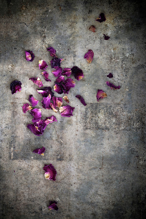 Dried Rose Petals On An Antique Surface Photograph by Kati Neudert