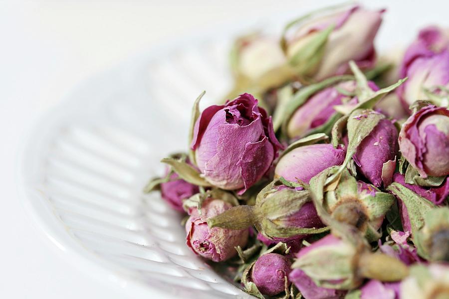 Dried Rosebuds In White China Bowl Photograph by Alexandra Panella