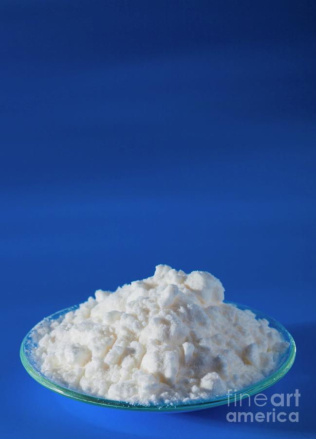 Dried Starch Powder Photograph by Science Photo Library Dried Starch Powder Photograph by Science Photo Library