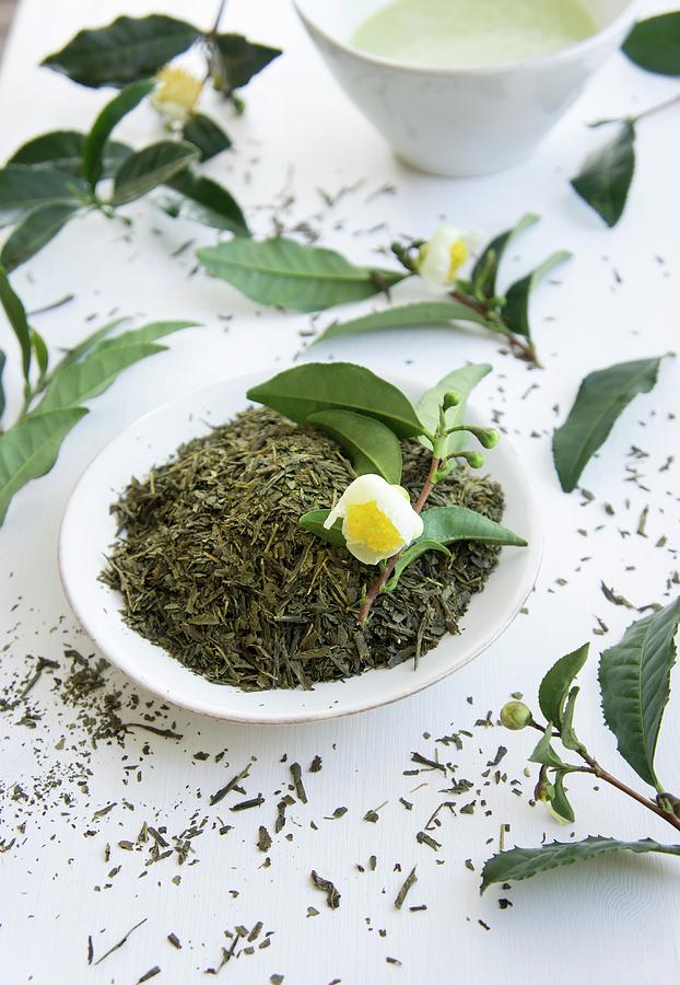Dried Tea Leaves And A Flowering Sprig Of Tea Leaves Photograph by Martina Schindler