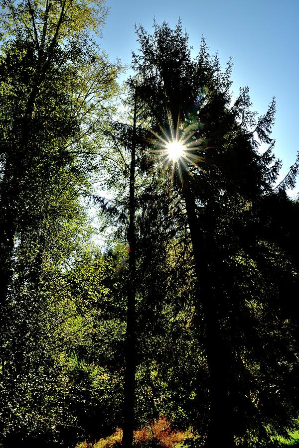 Drift Creek Meadow by Jerry Sodorff Drift Creek Meadow by Jerry Sodorff