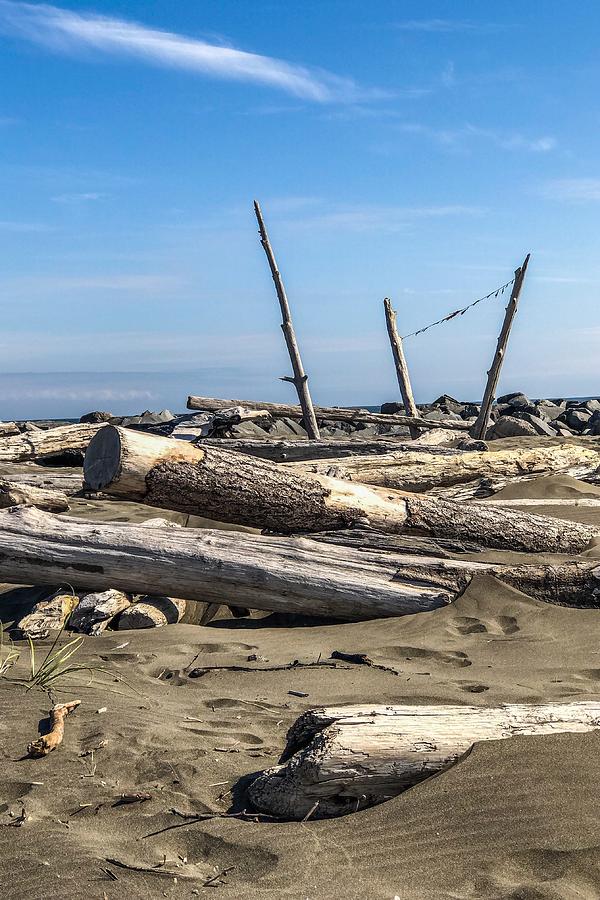 Drift wood on the beach #2 Photograph by Tatiana Travelways