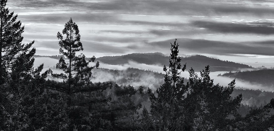 Drifting Fog Photograph by Kathleen Bishop
