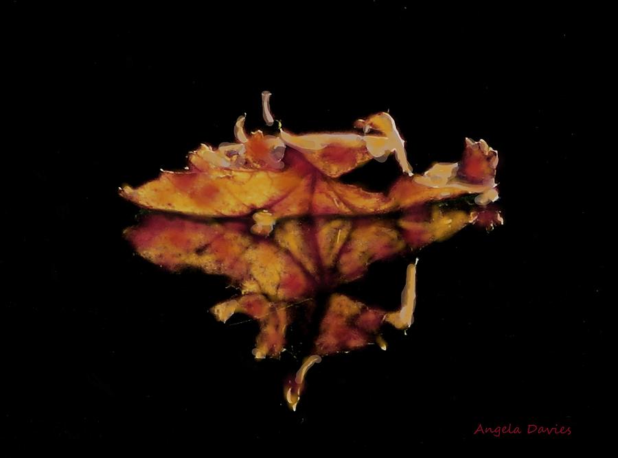 Drifting Into Autumn Photograph by Angela Davies