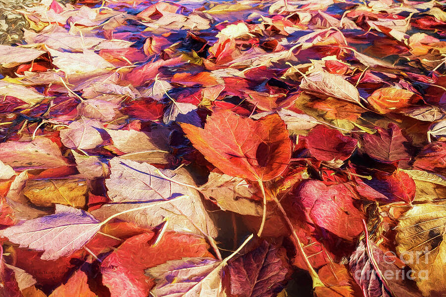 Drifting Leaves Digital Art by Jean OKeeffe Macro Abundance Art