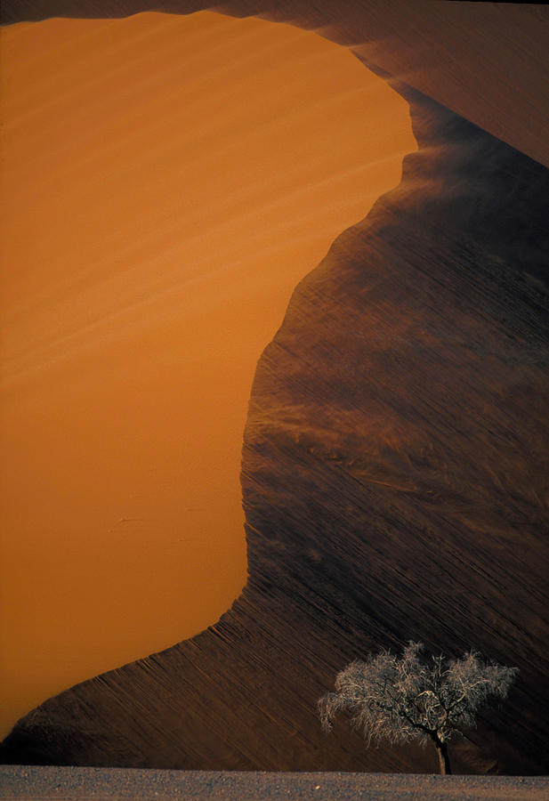 Desert Photograph - Drifting Sand by Myriam Leplat