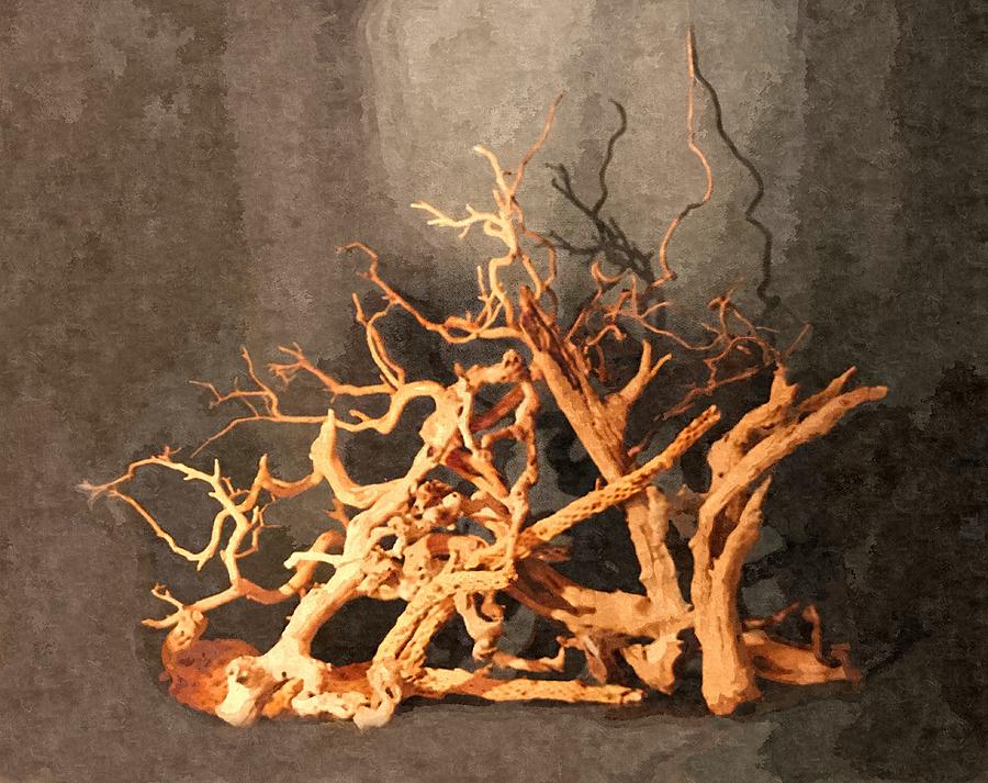 Driftwood Abstract Painted Photograph by Sandi OReilly