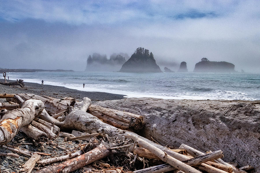 Driftwood and Sea Stacks at Rialto Beach Photograph by Carolyn Derstine