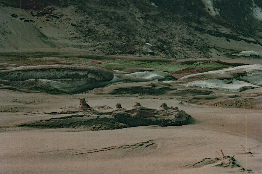 Driftwood and snow Cape Cod MA Photograph by Imageryat Work Pixels