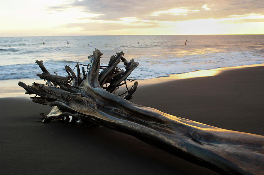 Driftwood And Surfers On Playa Hermosa Photograph by Driendl Group