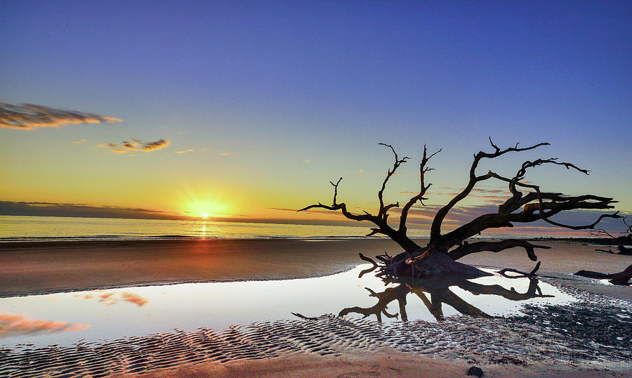 Driftwood Beach sunrise 7 Photograph by Kenny Nobles - Fine Art America