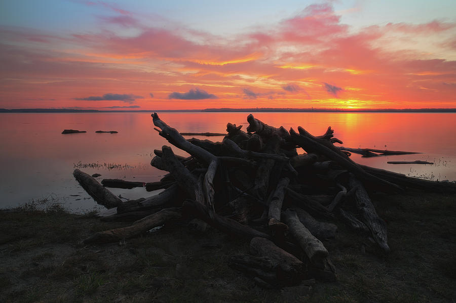 Driftwood Daybreak Photograph by Art Cole