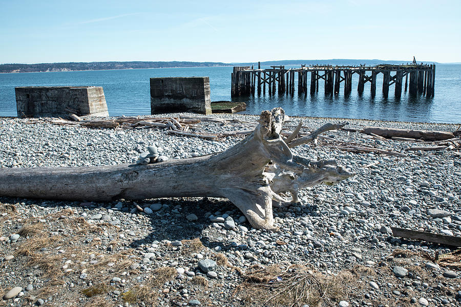 Driftwood Dinosaur and Abandoned Pier Photograph by Tom Cochran