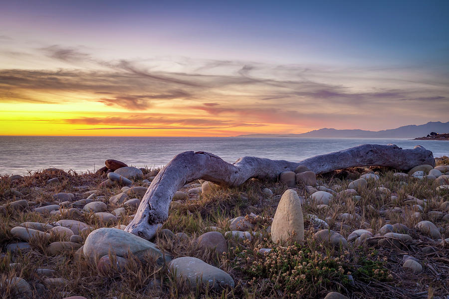 Driftwood Photograph - Driftwood January by Chris Moyer Driftwood Photograph - Driftwood January by Chris Moyer
