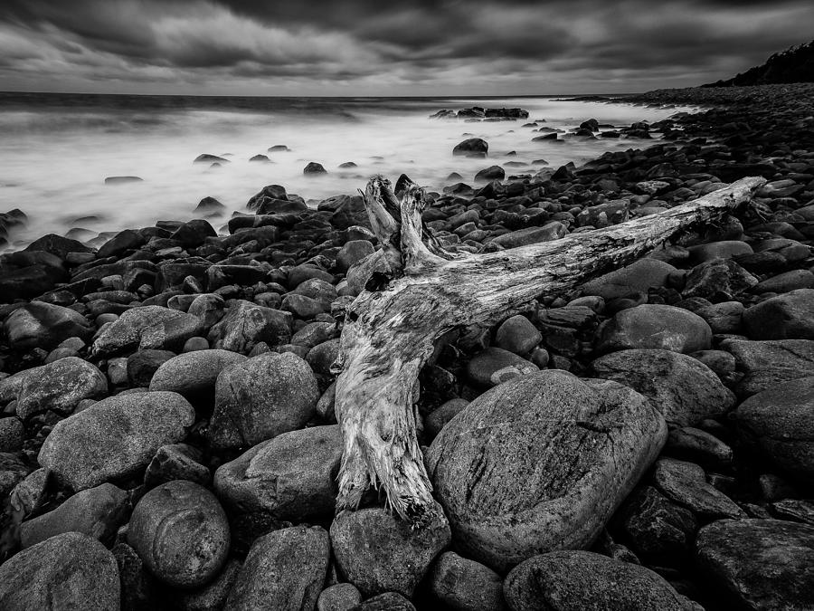 Landscape Photograph - Driftwood by Martin Steeb