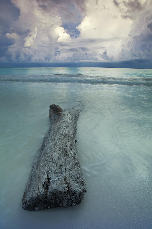Driftwood On Maroma Beach At Sunset Photograph by J. Andruckow