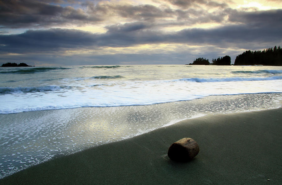 Driftwood On The Beach Near Tofino Photograph by Imaginegolf
