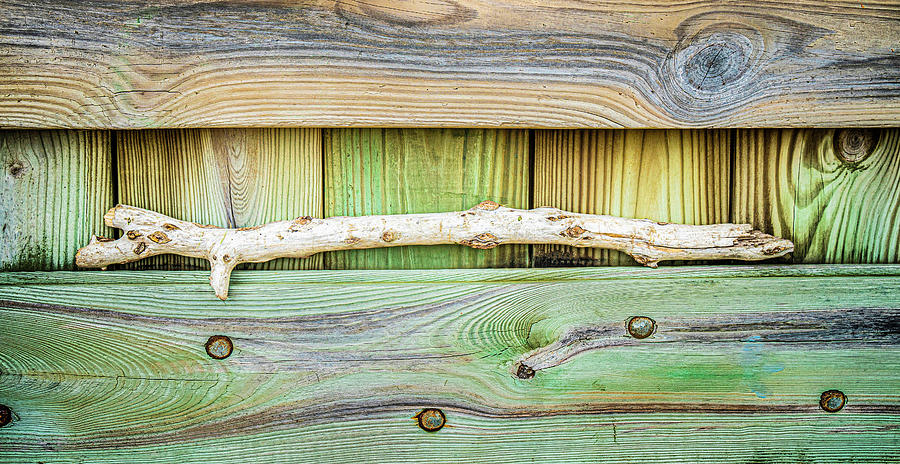 Driftwood Resting On Textured Wall Photograph by Gary Slawsky
