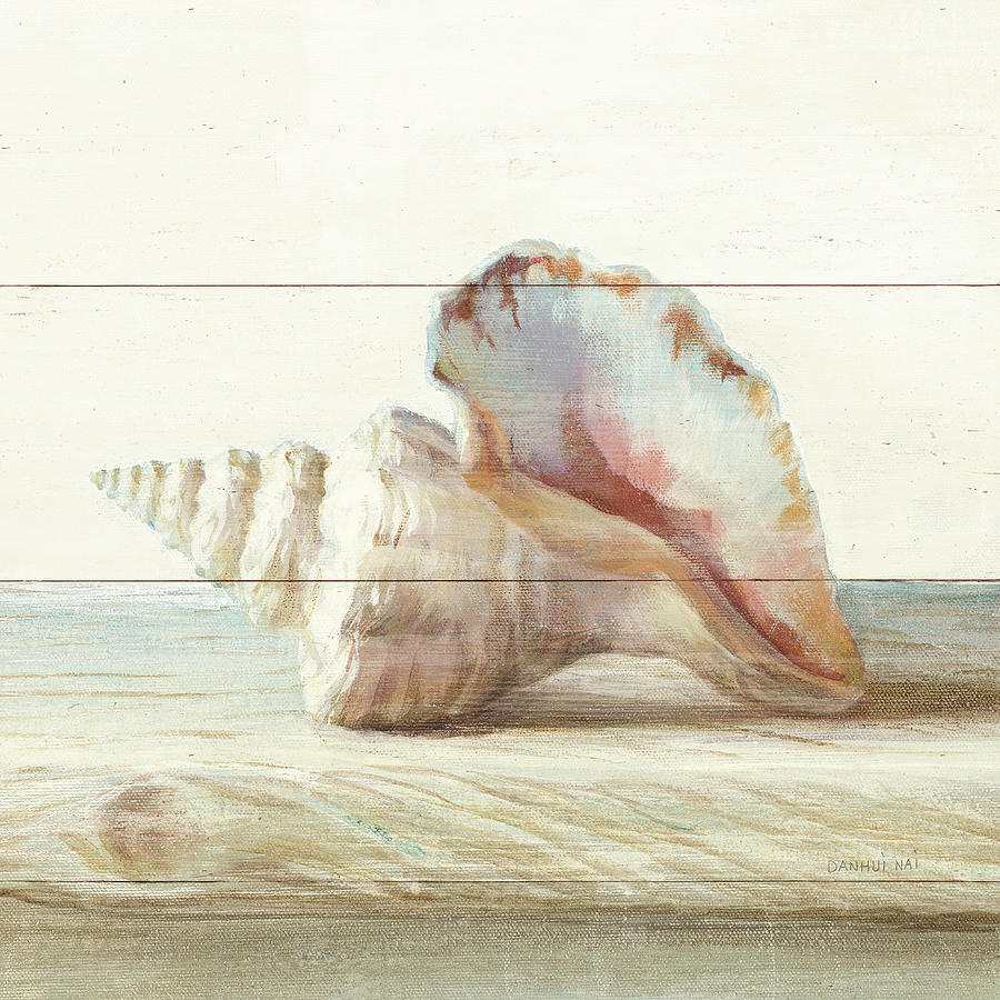 Shell Painting - Driftwood Shell Iv by Danhui Nai