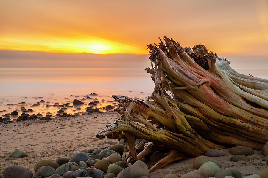 Beach Photograph - Driftwood Sunset by Chris Moyer