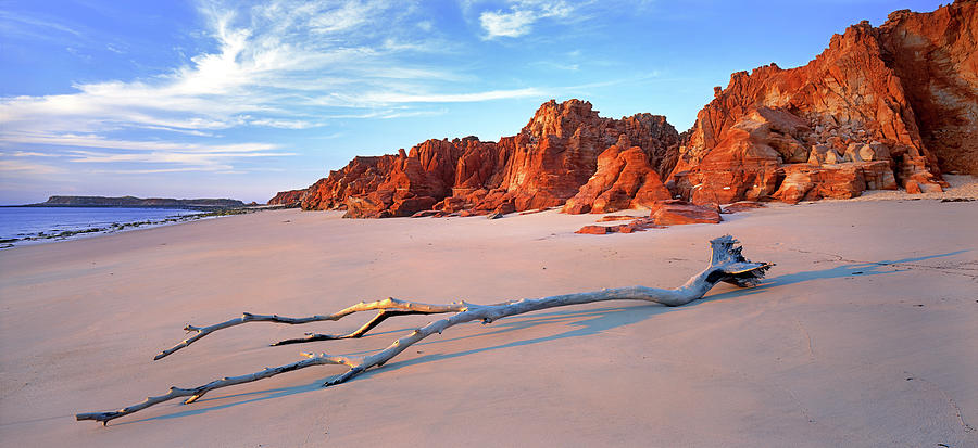 Ocean Photograph - Driftwood by Wayne Bradbury Photography Ocean Photograph - Driftwood by Wayne Bradbury Photography