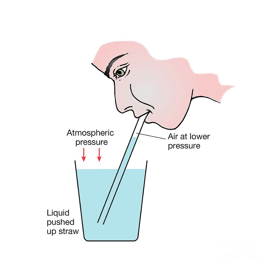 drinking-through-a-straw-photograph-by-science-photo-library-pixels