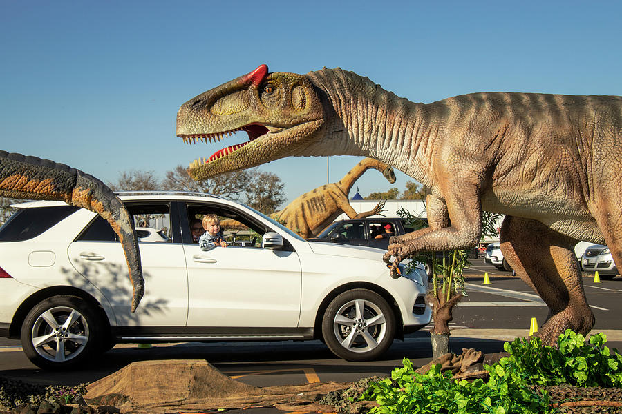 Drive Through Dinosaurs Photograph by Spencer Grant