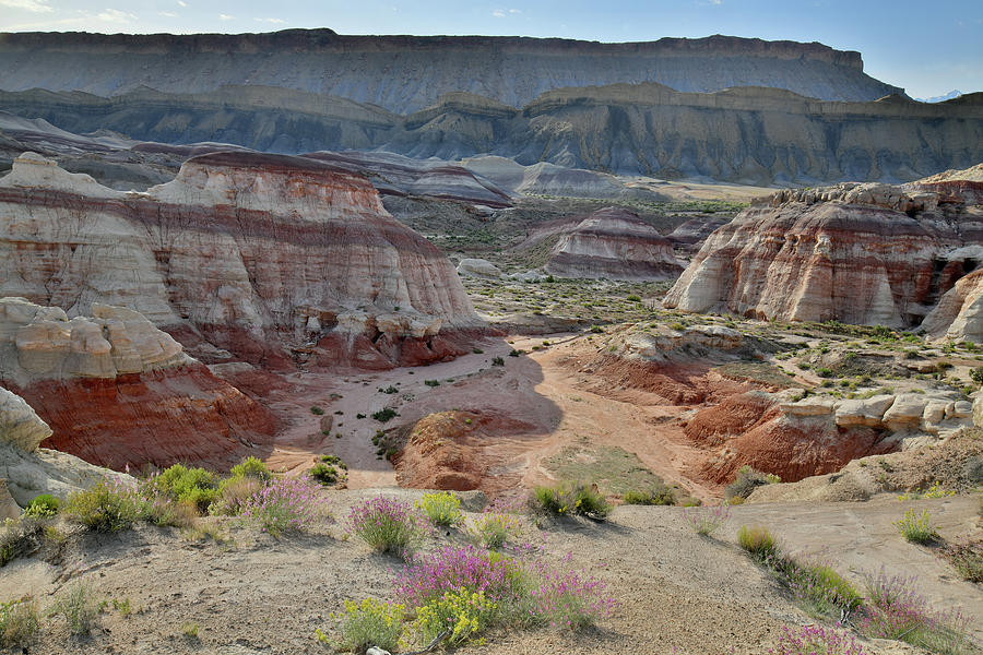 Drive to Cathedral Valley in Capitol Reef NP Photograph by Ray Mathis