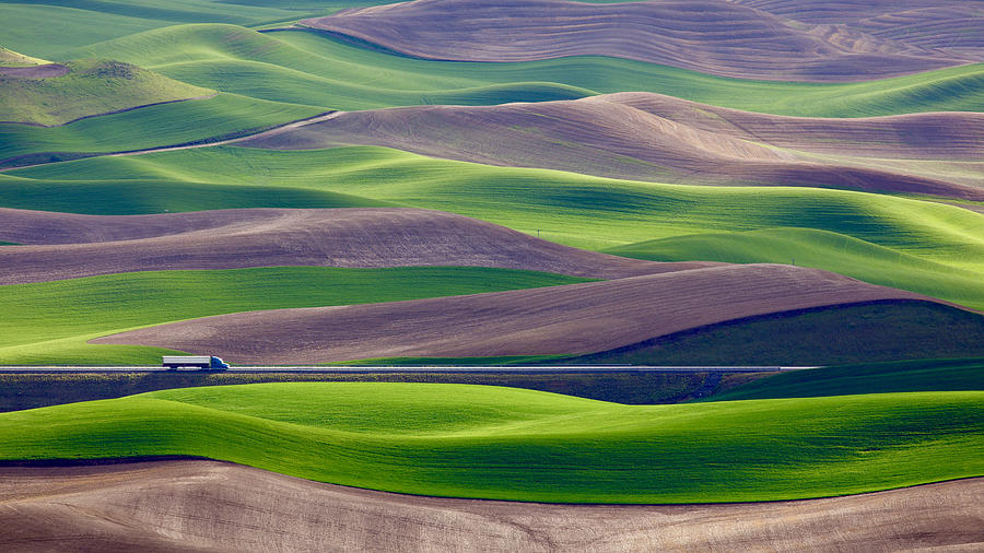 Transportation Photograph - Driving In The Wheat Field At Palouse by Danny Gao