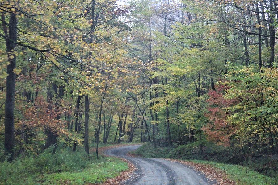 Driving Through Autumn Photograph by Carol McGrath - Fine Art America