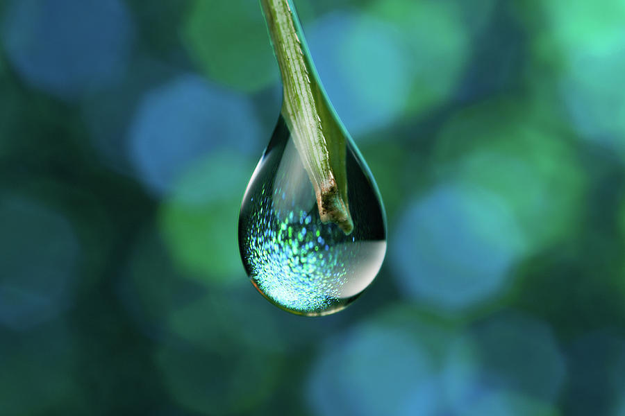 Droplet Photograph by Shawn Knol