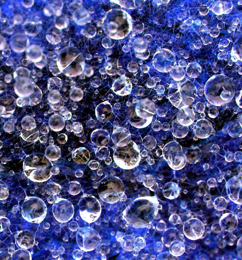 Droplets and Blue by AJP Droplets and Blue by AJP