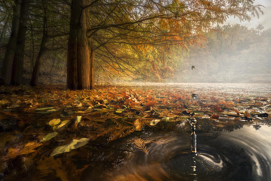 Drops Between The Autumn Colors Photograph by Alberto Ghizzi Panizza