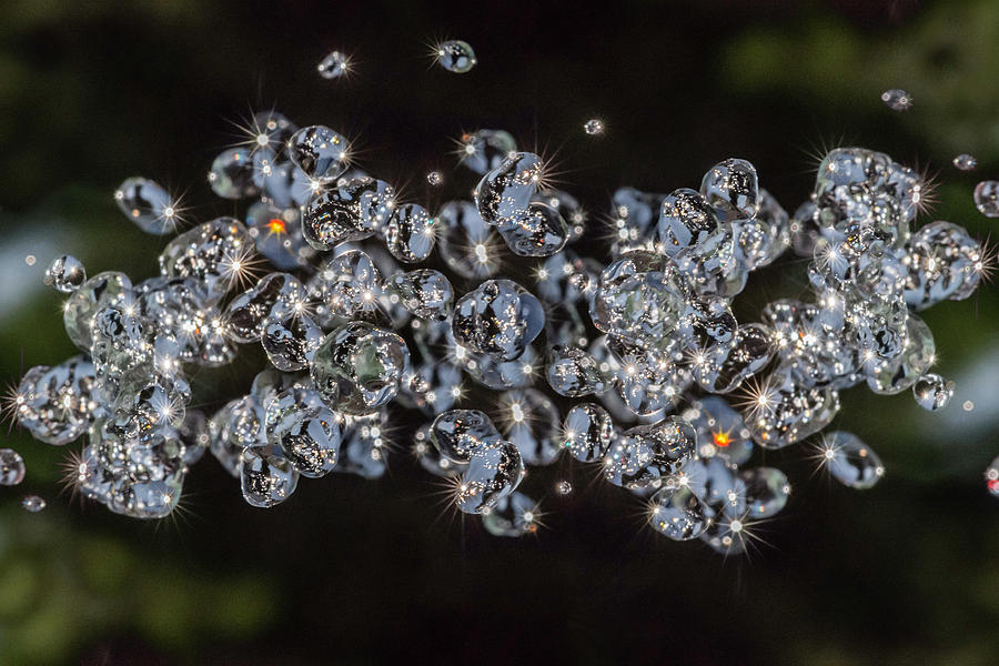 Drops like Diamonds Photograph by Wolfgang Stocker