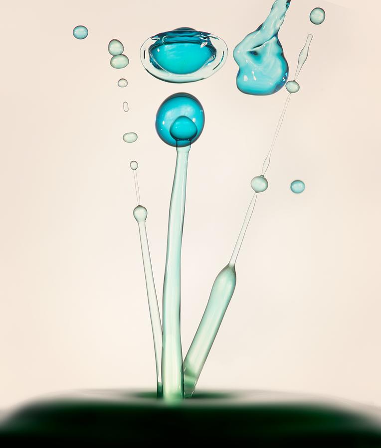 Drops Of Life Photograph by Taransohal