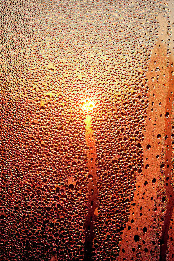 Drops On Window Photograph by Malerapaso