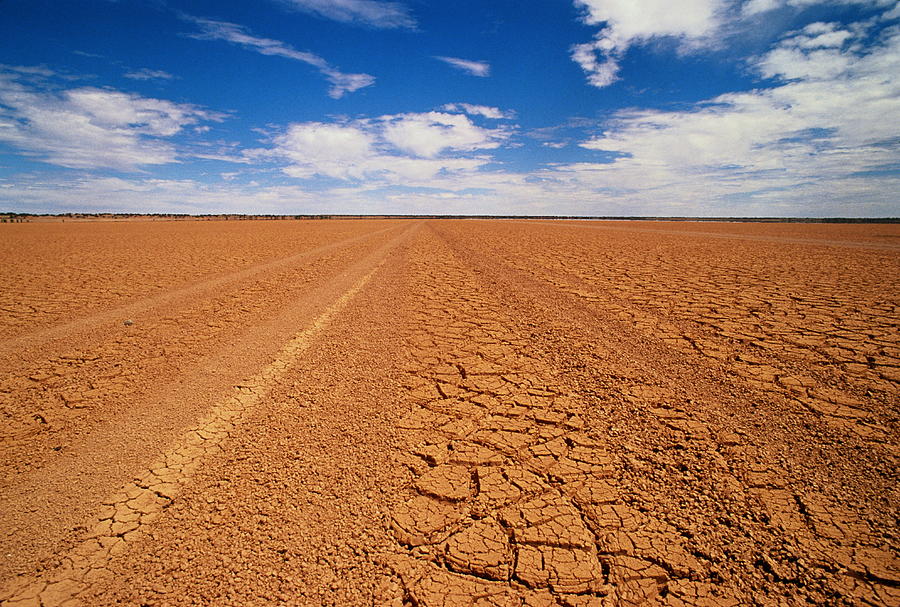 Drought Landscape, Northern Territory Photograph by Oliver Strewe