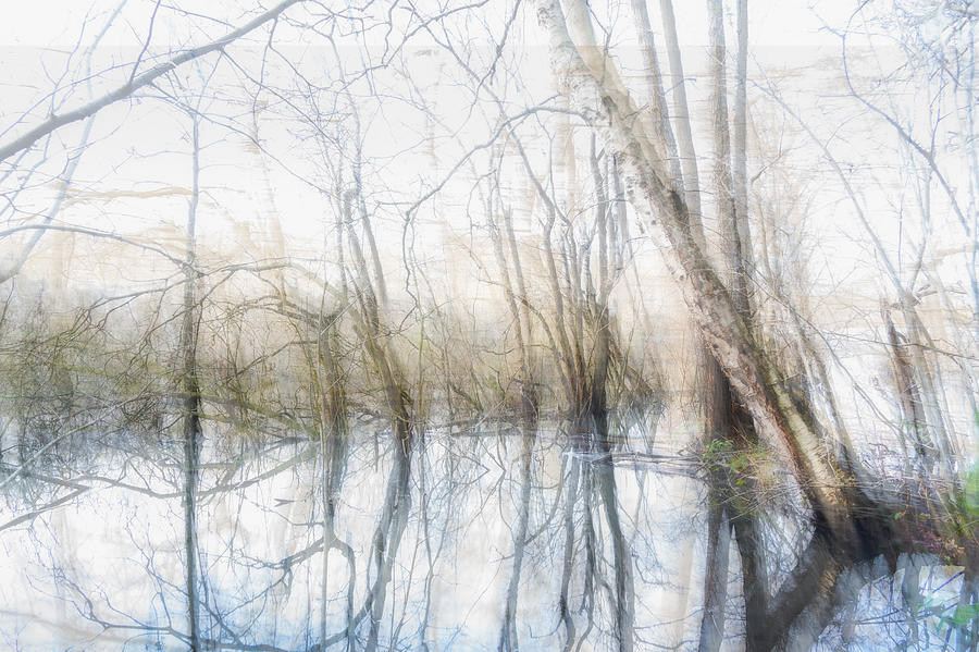 Drowned Trees Photograph by Ina Bouhuijzen - Fine Art America