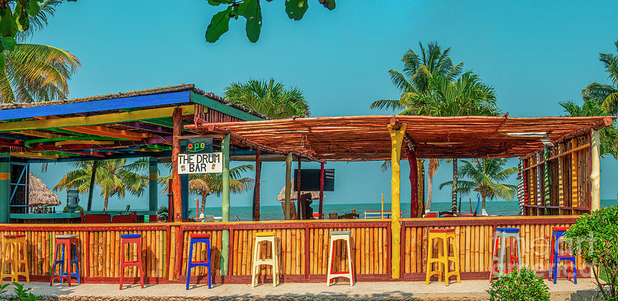 Drum Bar Hopkins Bay Belize Photograph by David Zanzinger
