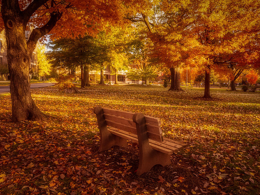 Drury Autumn Color Photograph by Allin Sorenson
