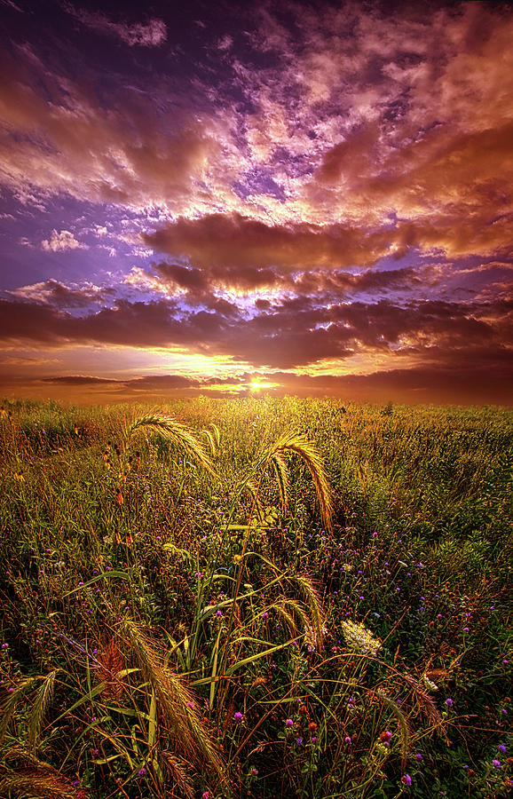 Drwing Near Photograph by Phil Koch