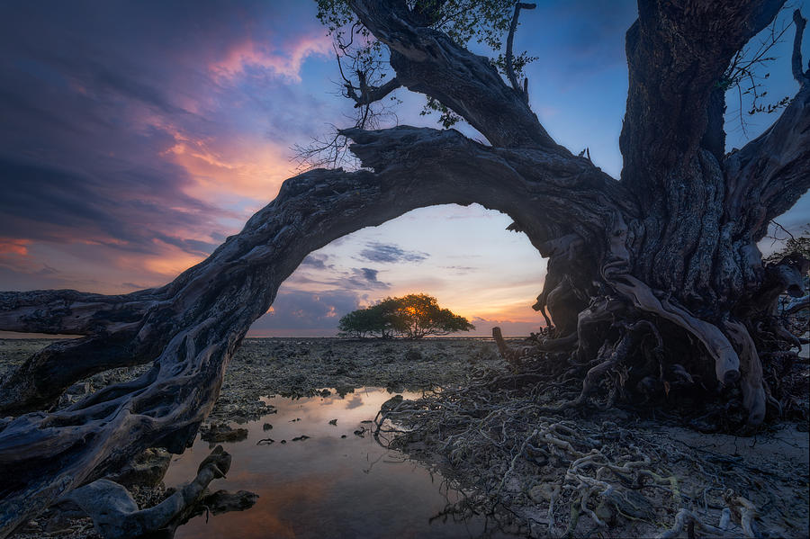 Sunset Photograph - Dry by Ade Rizal