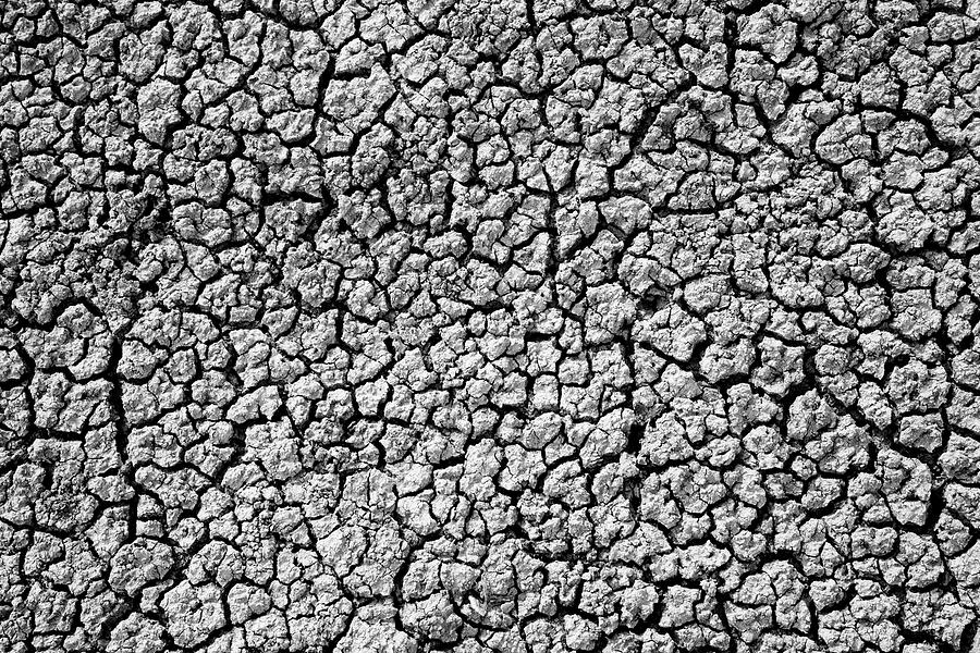 Dry Bentonite Clay Photograph by Lucidio Studio Inc