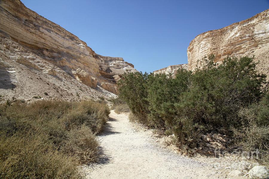 Dry Desert River Photograph by Photostock-israel/science Photo Library