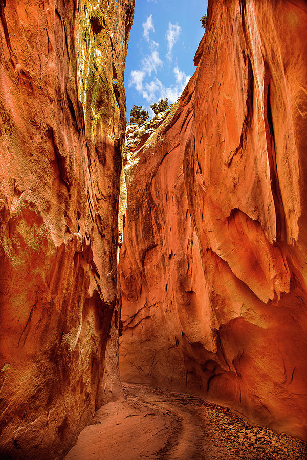 Dry Gulch Canyon Photograph by Jerry Cahill